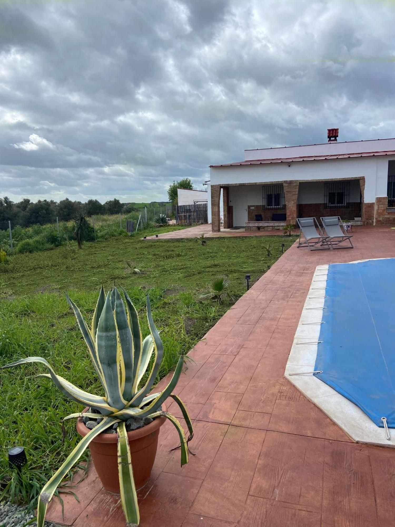 Hacienda Donaire Beas Daire Dış mekan fotoğraf