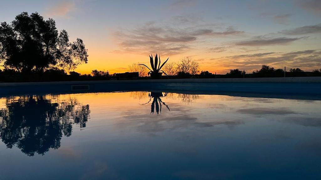 Hacienda Donaire Beas Daire Dış mekan fotoğraf
