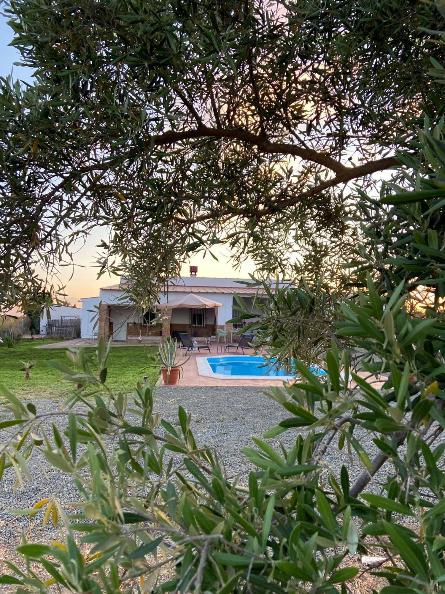 Hacienda Donaire Beas Daire Dış mekan fotoğraf