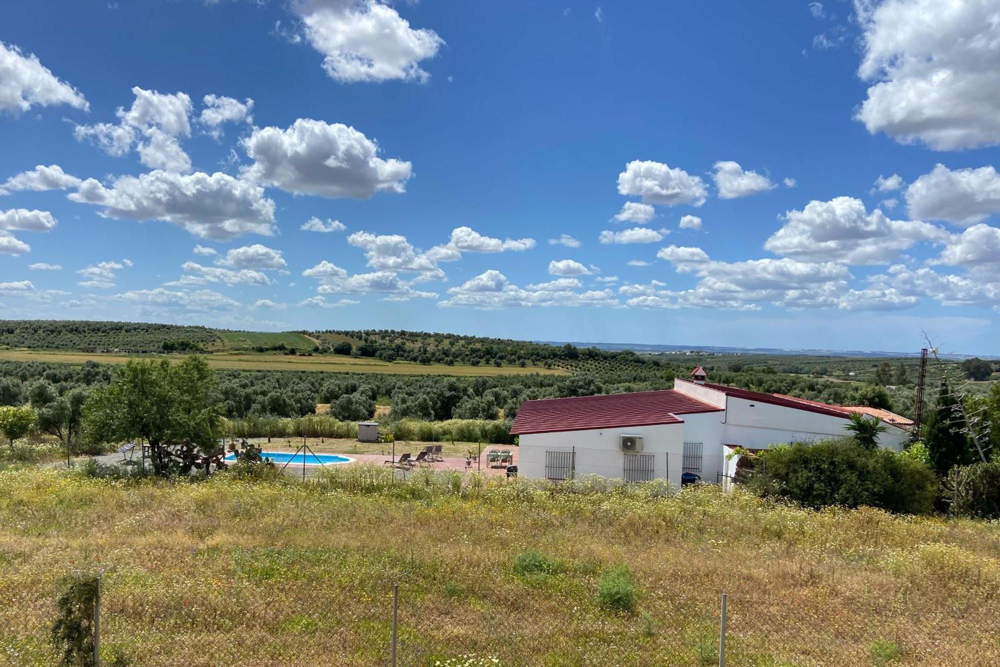 Hacienda Donaire Beas Daire Dış mekan fotoğraf